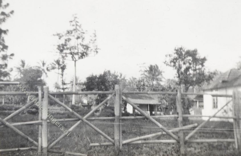 60 bamboehek