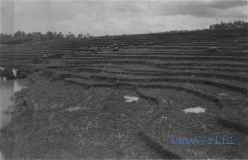 39 Bodja 1947