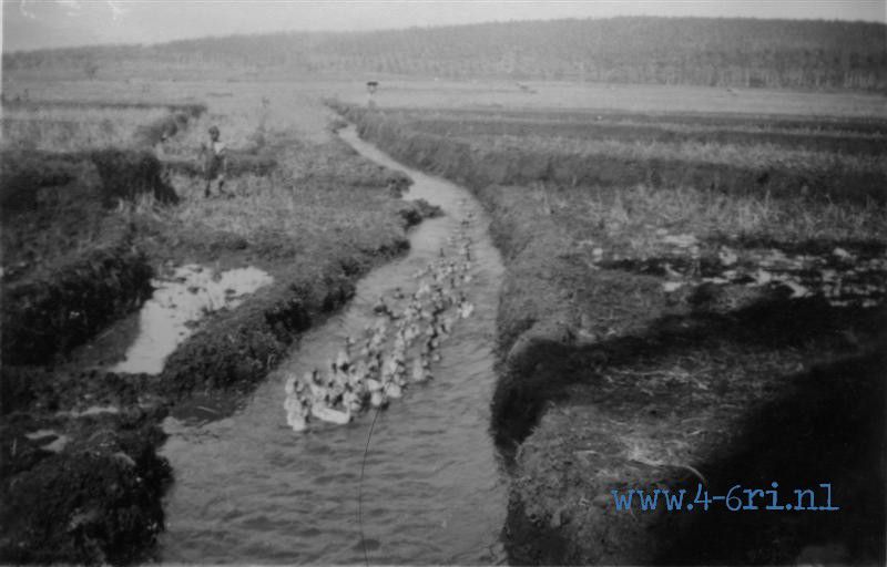 196 Natuurschoon te Banterbolang