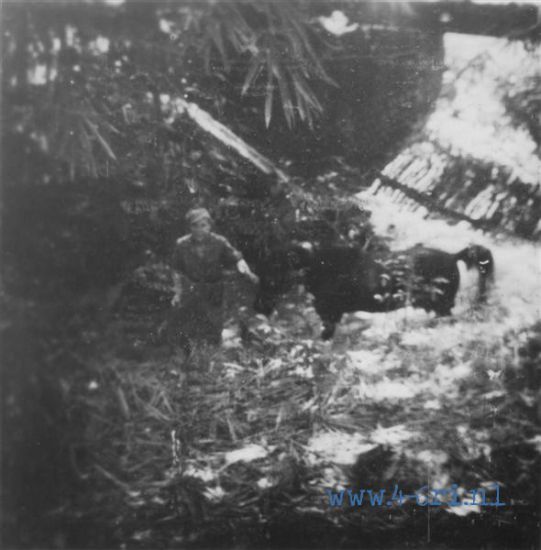 115 In de kali te Pangarit 1947