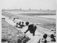 5e - Sikowang 1948-49